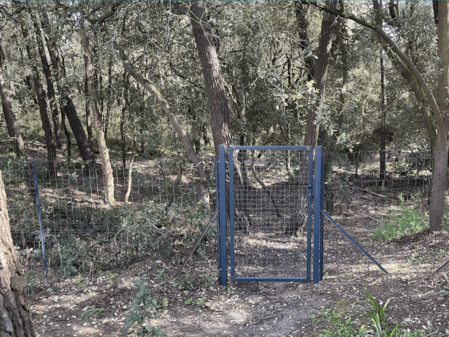 Portillon ouvrant sur la dune et menant à la plage