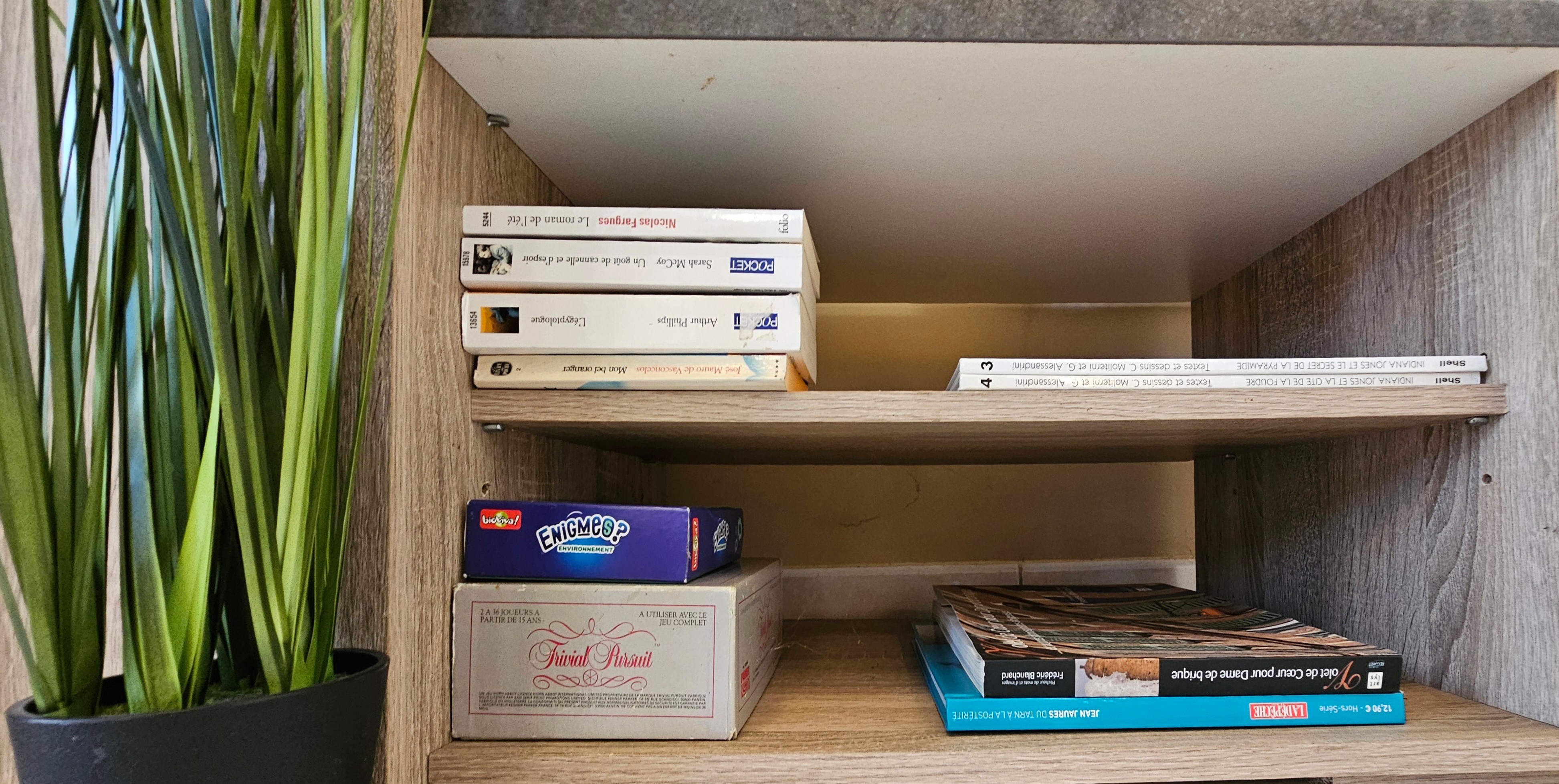 Gîte la Passerelle - Albi dans le Tarn en Occitanie - livres