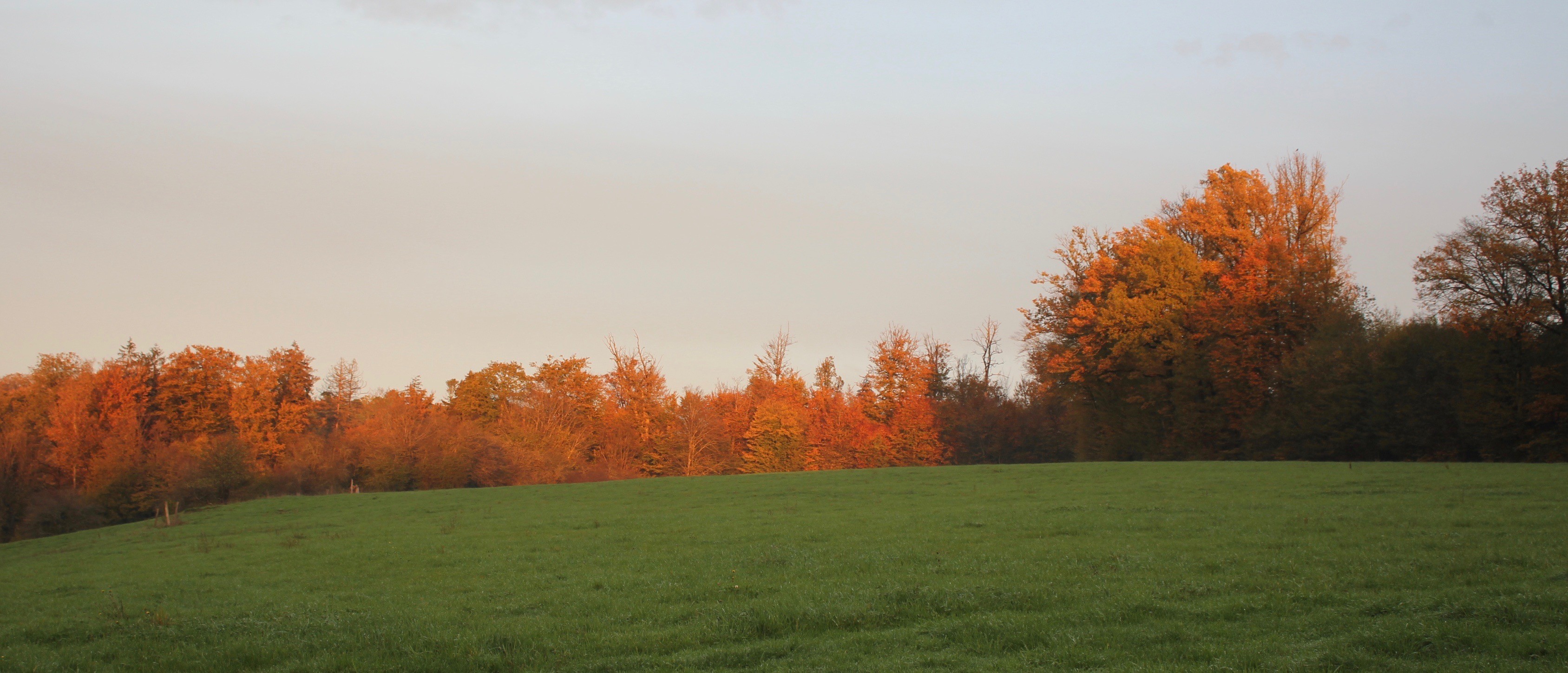 Couché de soleil d'automne sur la prairie - Gite de la Cabiole