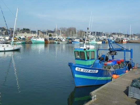 Location "Île St Riom" de la maison de Marilou au centre ville de Paimpol et à quelques pas du port (Côtes d'Armor, Bretagne)