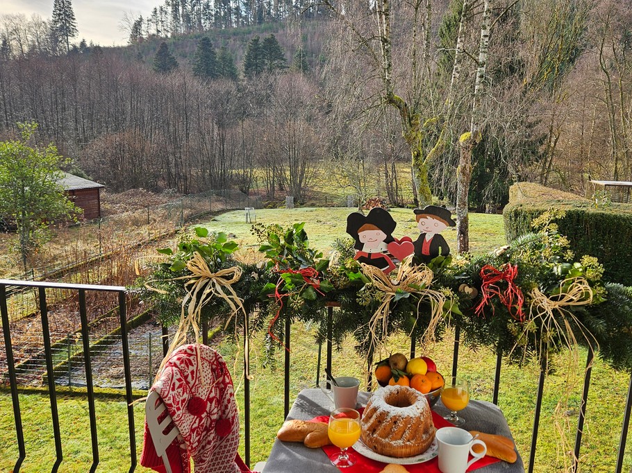 The terrace at the back of the house overlooking the private grounds