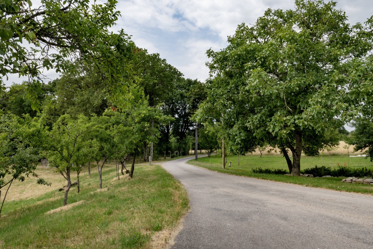 Paysage locaux - Les 3 Line