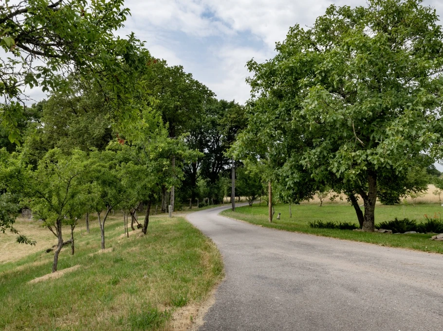 Paysage locaux - Les 3 Line