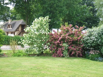 Photo n° 15 de la location