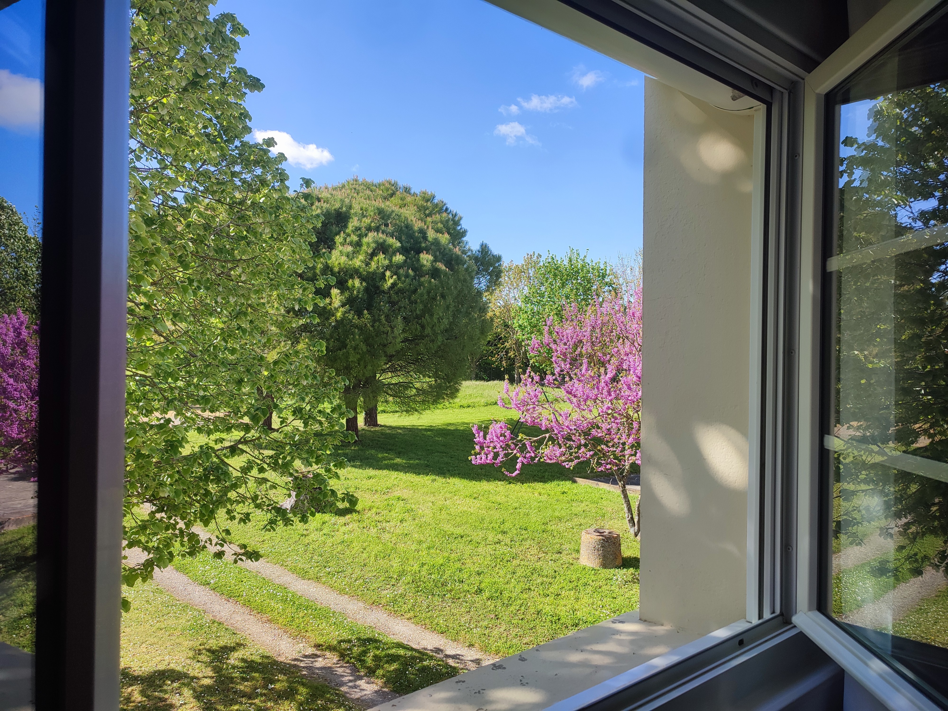Vue de la chambre les baleines