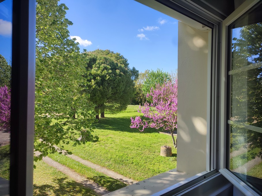 Vue de la chambre les baleines