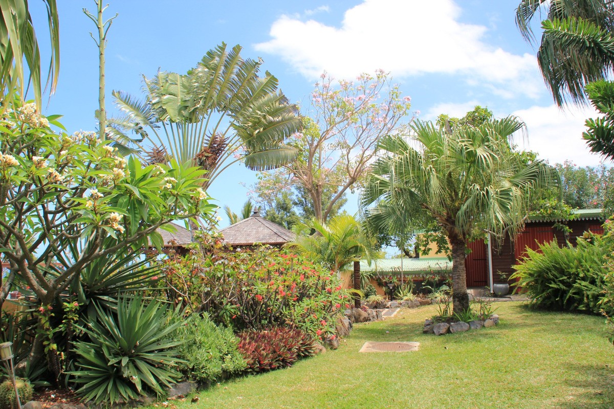 Jardin exotique 1er Prix Concours jardins paysagés 2016