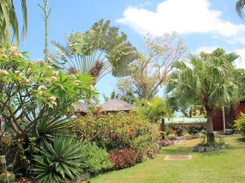 Jardin exotique 1er Prix Concours jardins paysagés 2016