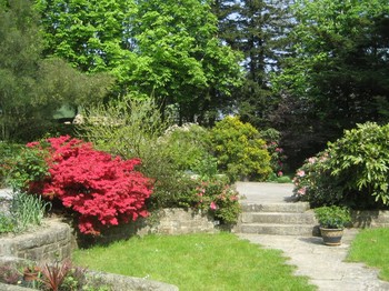 Photo n° 11 of the location