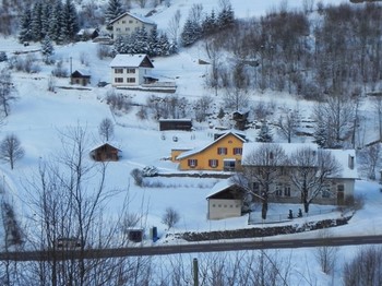 Appartement La Tanière des copains à La Bresse