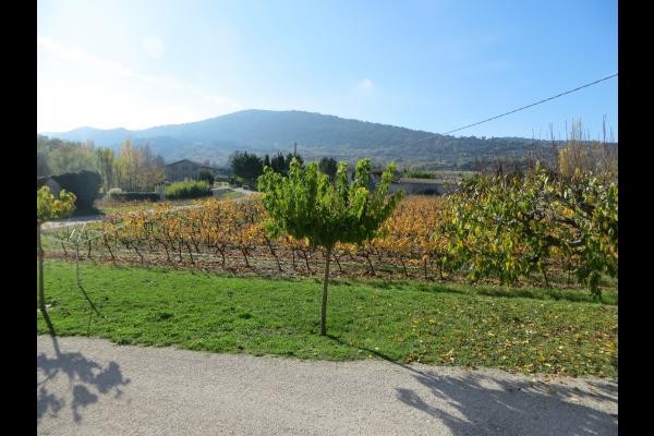 Photo n° 18 de la location