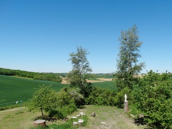 Photo n° 8 de la location