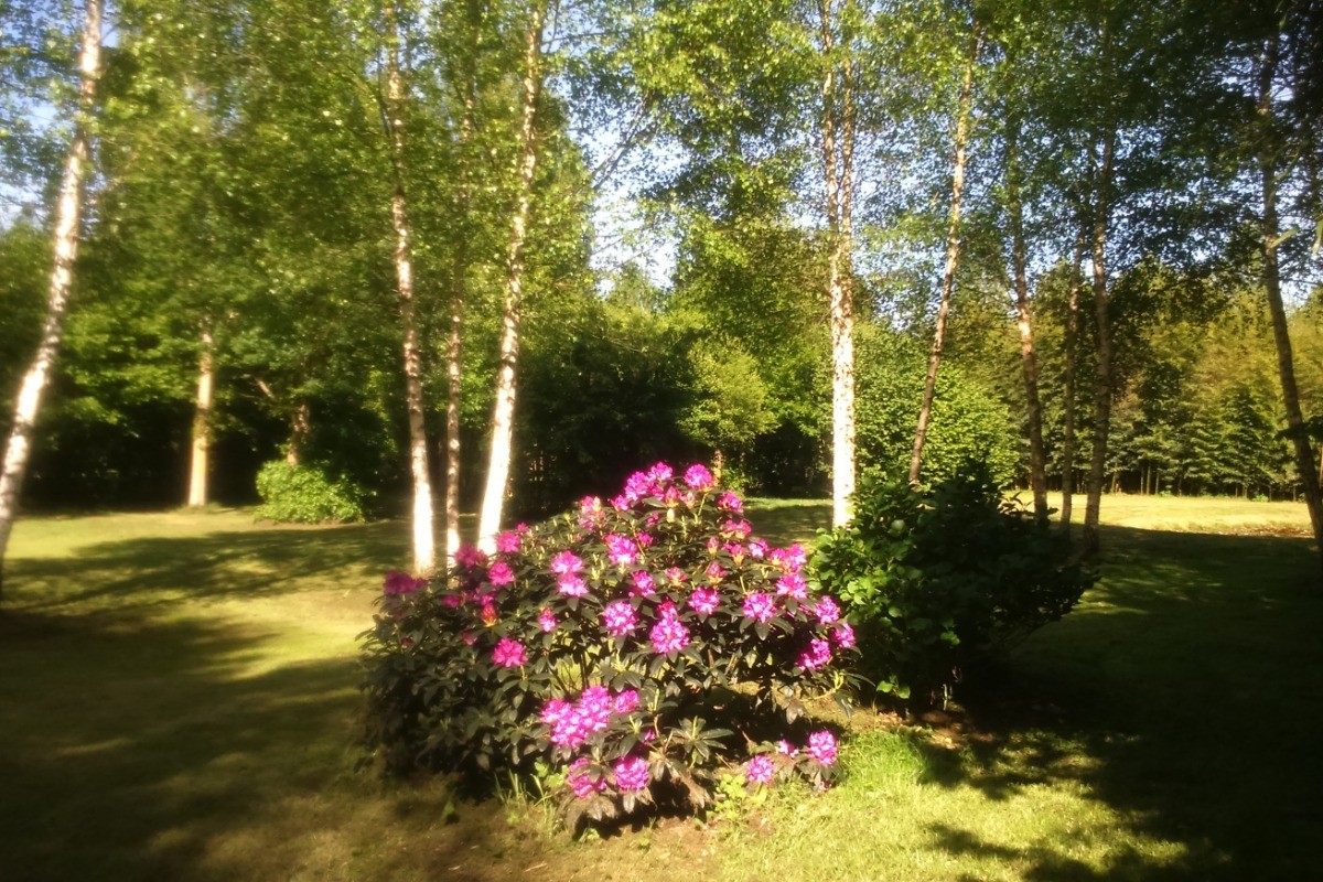 Photo n° 9 de la location