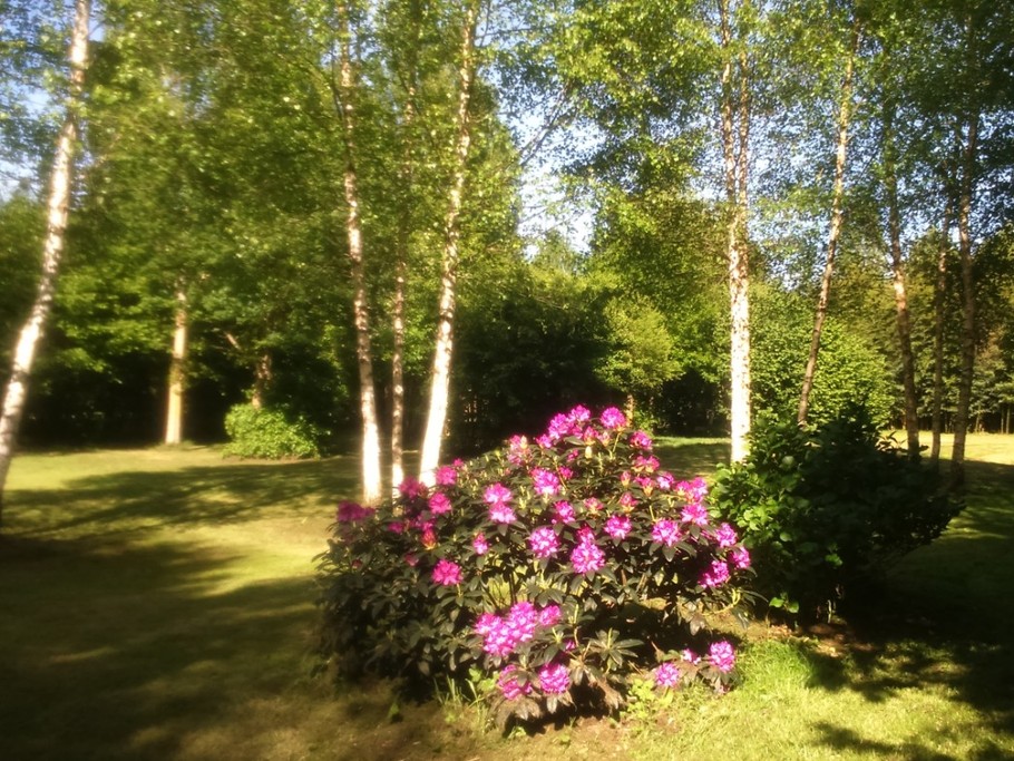 Photo n° 9 de la location