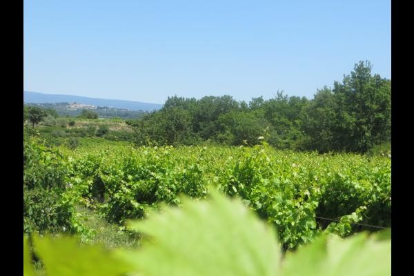Photo n° 16 de la location