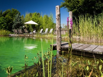 La piscine naturelle