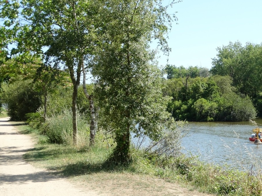 Photo n° 9 de la location