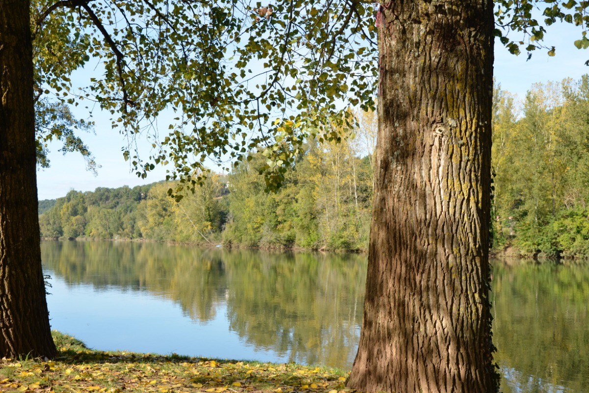 Photo n° 10 de la location