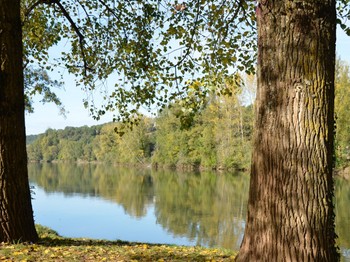 Photo n° 10 de la location