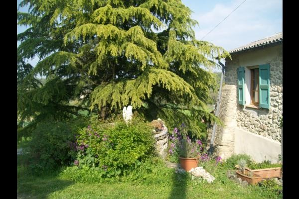 Photo n° 6 de la location