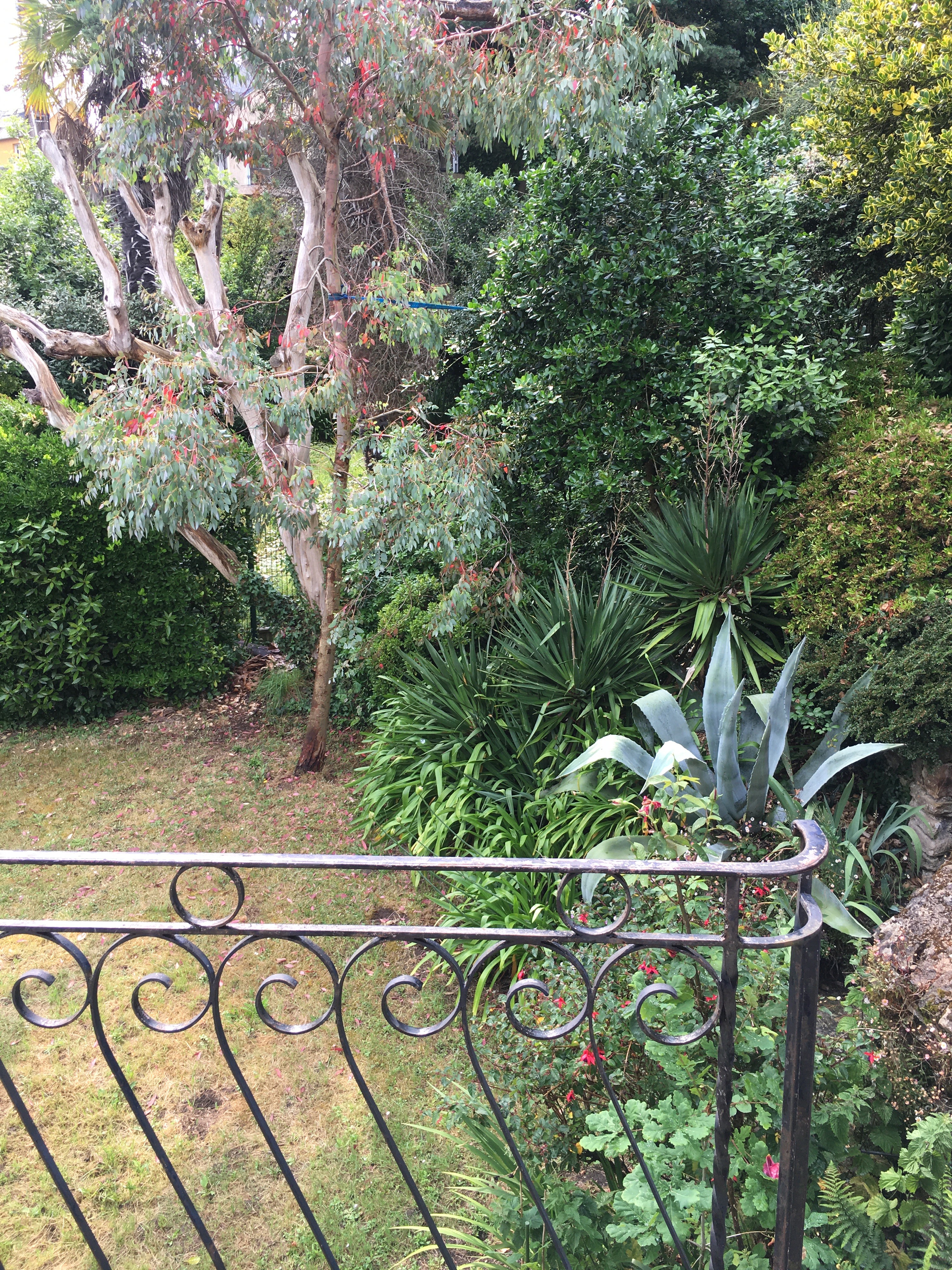 le jardin de la maison