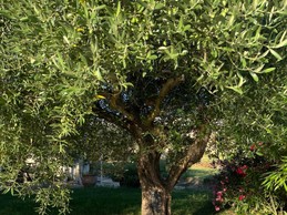 Image n° 4 de la location