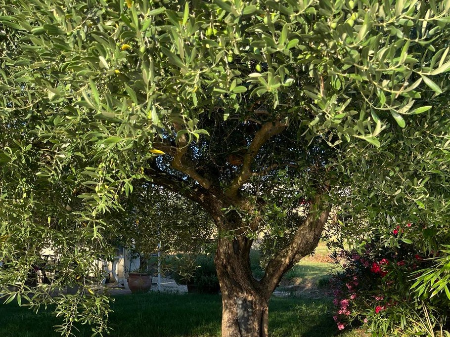 Photo n° 4 of the location