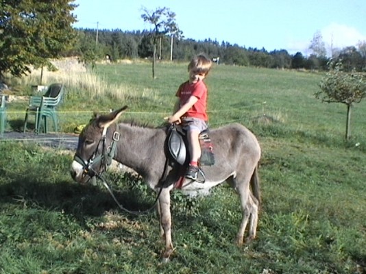 Photo n° 16 de la location