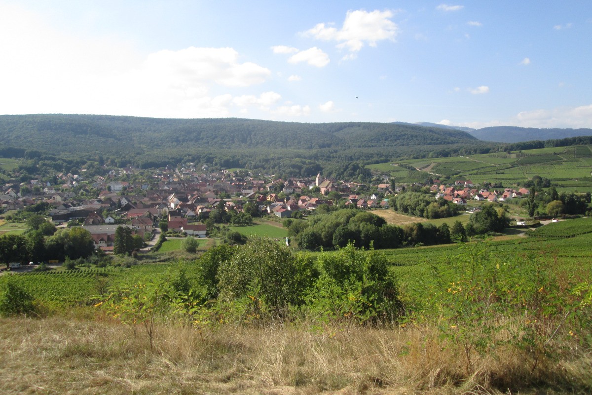 VUE SUR LE VILLAGE ORSCHWIHR