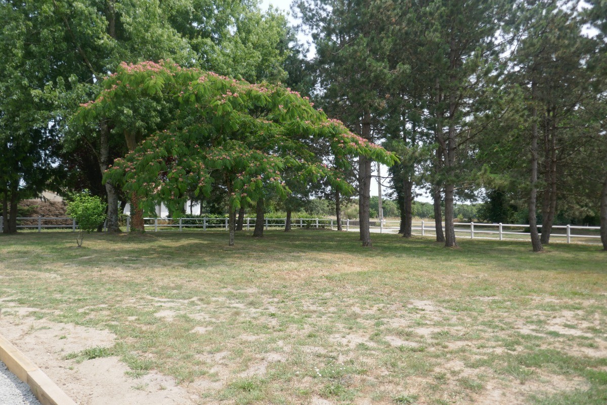 Jardin arboré devant le gîte