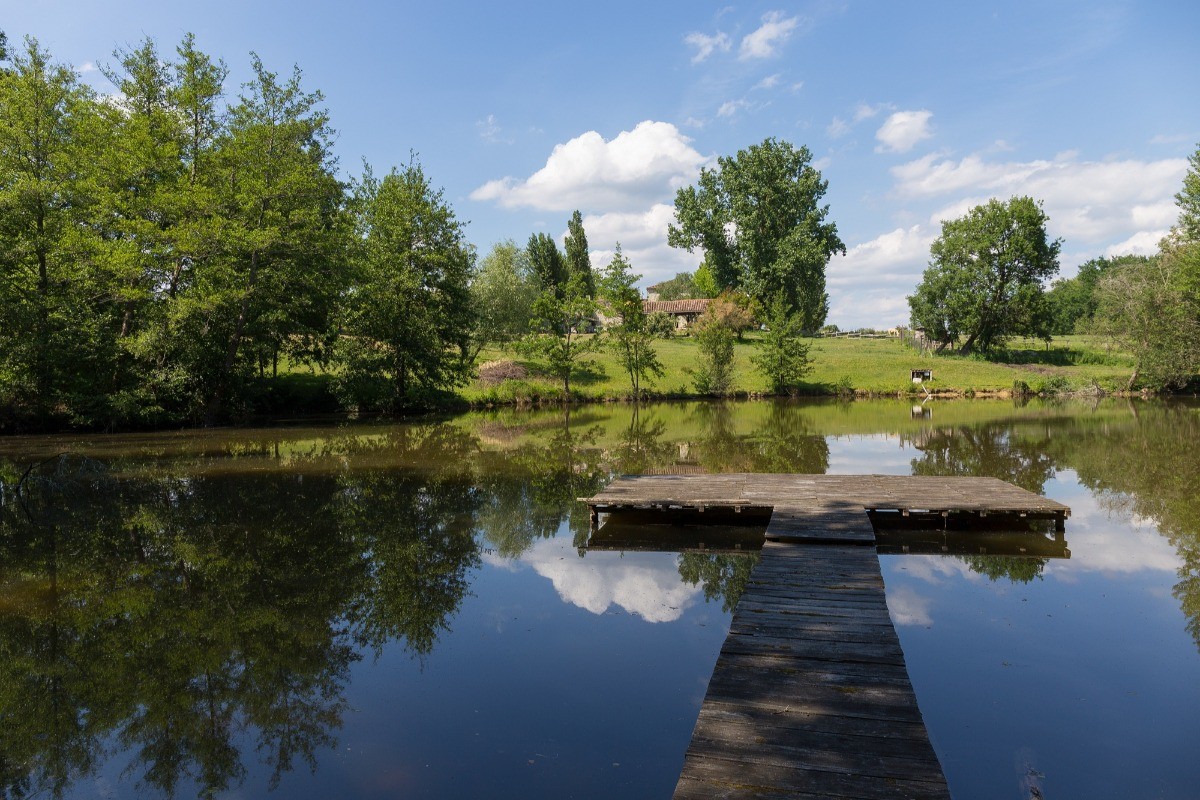 Photo n° 4 de la location