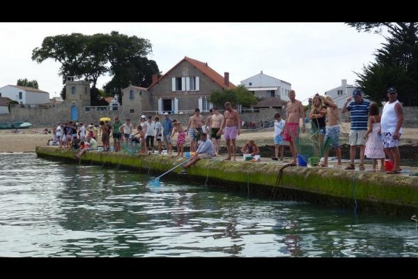 la pêche aux éperlans