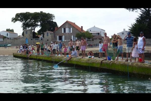 la pêche aux éperlans