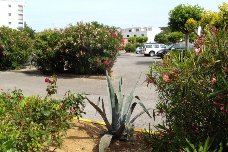 parking fleuri