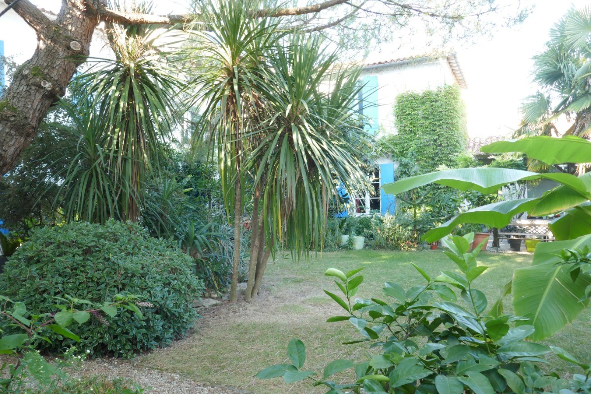 Le jardin arboré