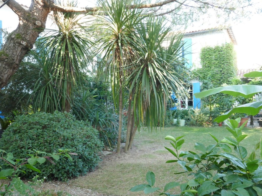 Le jardin arboré