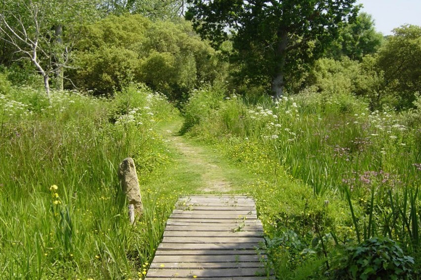 Marais du Quellen - Trébeurden