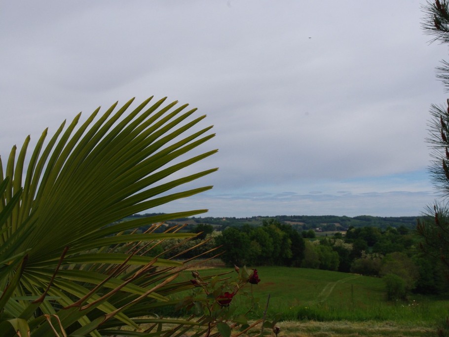 Vue sur les vallons à l'est.