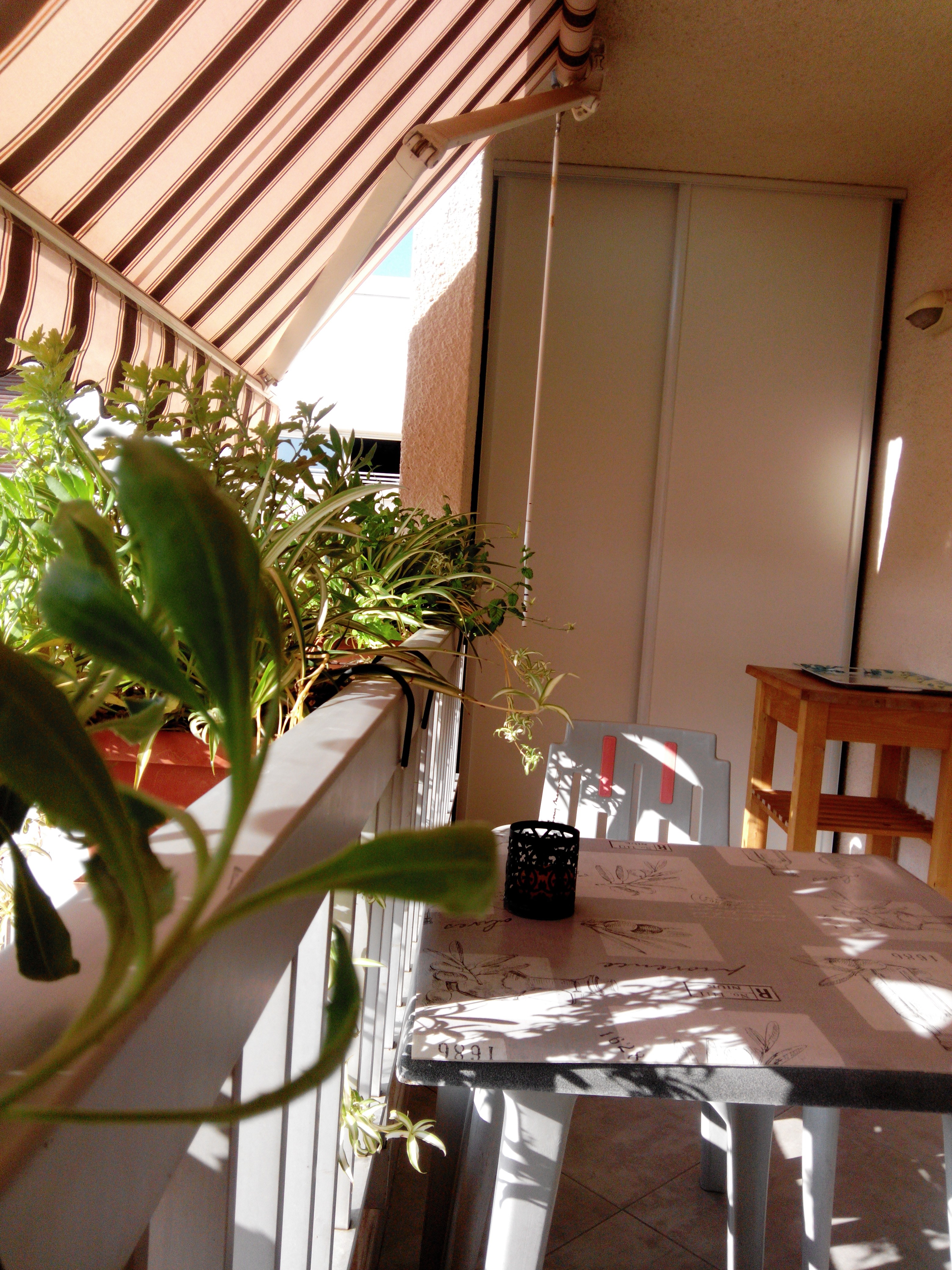 terrasse pour vos repas en extérieur.