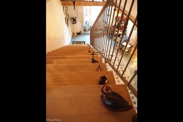 Photo n° 8 de la location