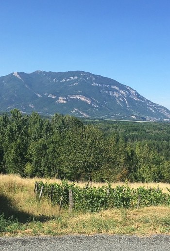 Le grand Colombier