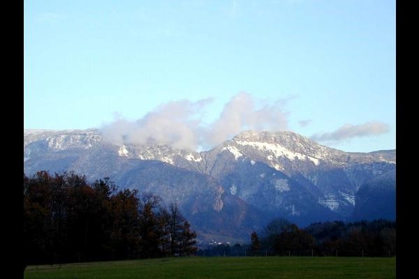 le parmelan
