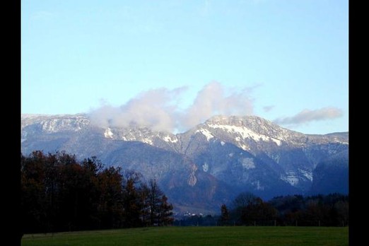 le parmelan