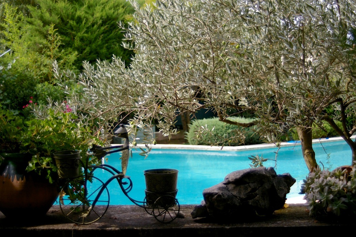 Photo n° 18 de la location