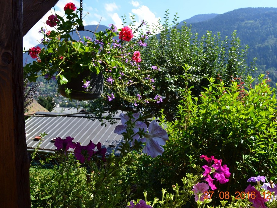 Photo n° 19 de la location