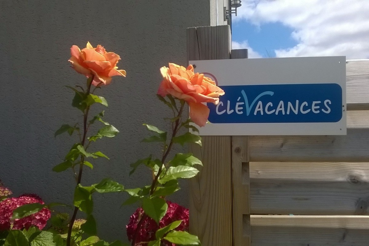 Photo n° 9 de la location