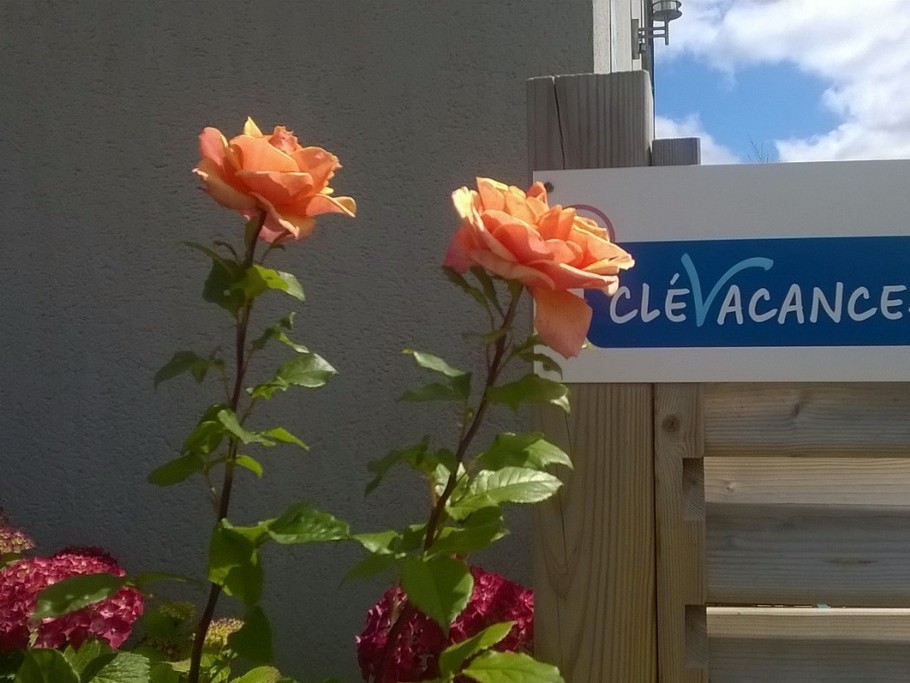Photo n° 9 of the location