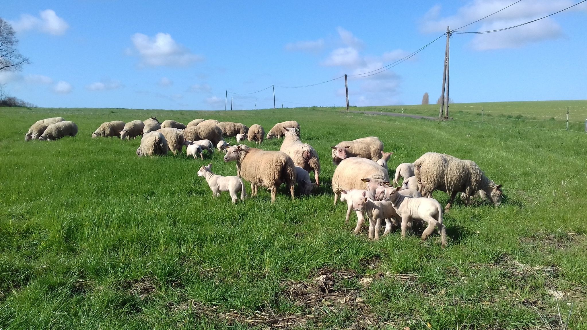 Le gite "Les Sens Ciel" pour 6 personnes, en Indre et Loir