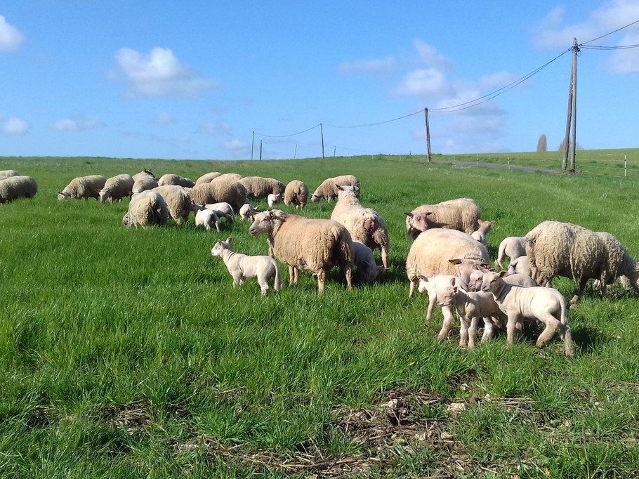Le gite "Les Sens Ciel" pour 6 personnes, en Indre et Loir
