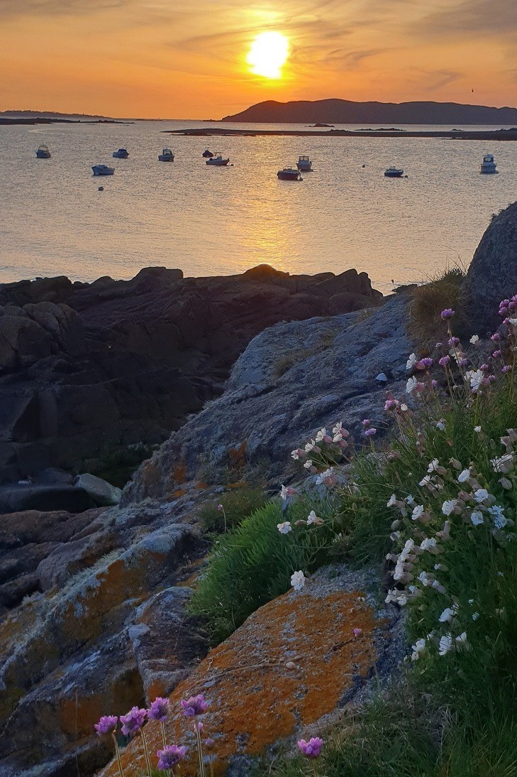 Clévacances - MAISON POUR 4 PERSONNES IDÉALEMENT SITUÉE PRES DE LA MER entre PERROS- GUIREC ET PAIMPOL - COTES D'ARMOR - BRETAGNE - paysage secteur